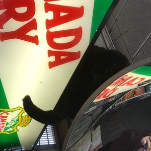 Meet your Posher, Grace